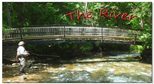 Riverbridgetitle