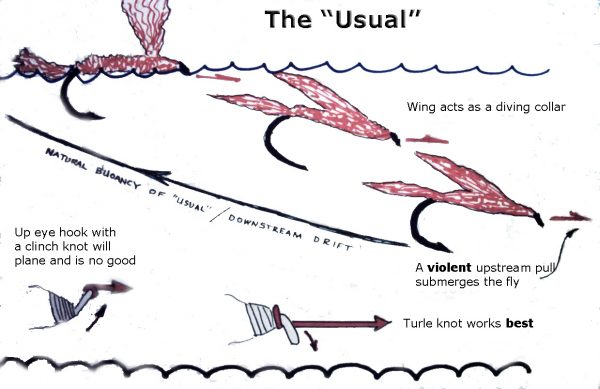 UsualDiving